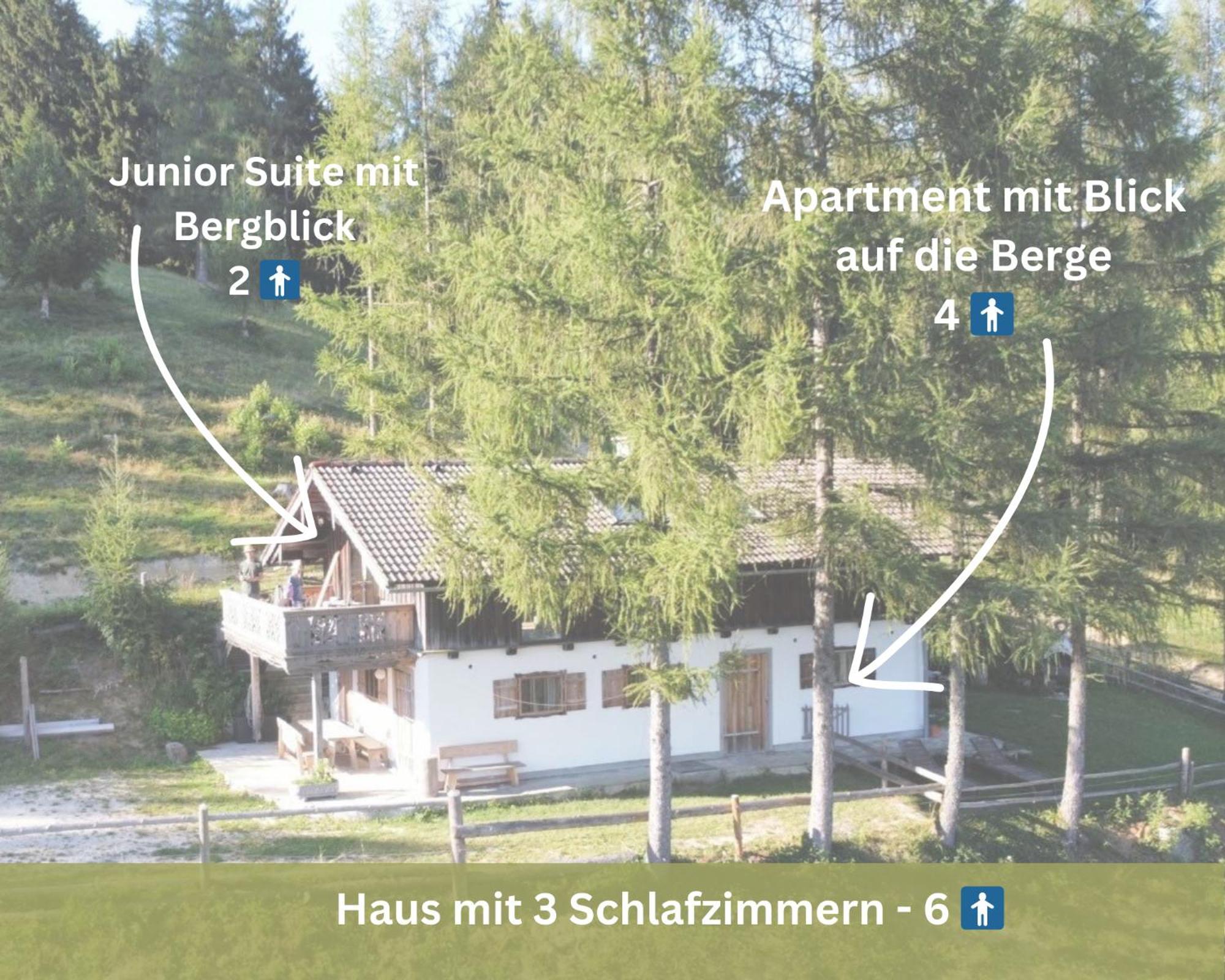 Kreitalm - Kraftplatz Im Salzkammergut Neukirchen  Exterior photo